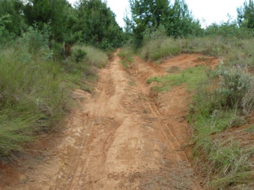 la route du gîte.JPG